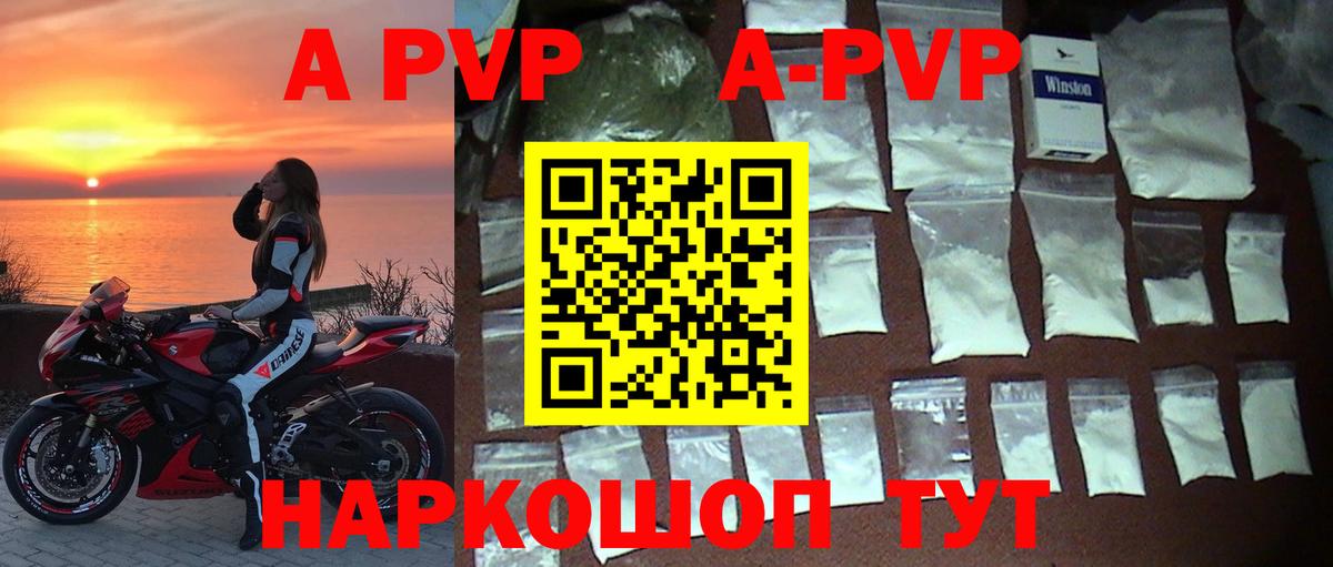 где найти   Вход с VPN  Камышин  Альфа ПВП  Alfa_PVP крисы CK  APVP СК КРИС 