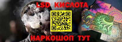 крисы Будённовск