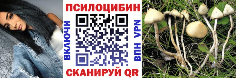 Галлюциногенные грибы мицелий Камышин