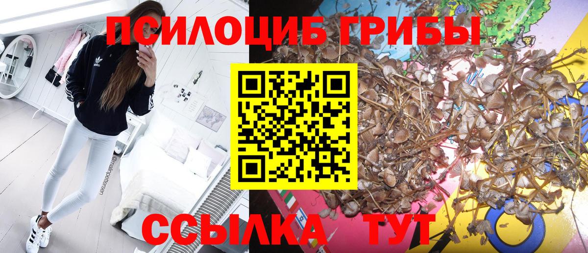Камышин  КОКАИН  Марихуана  Ешки  Вход с VPN  Кетамин  Мефедрон  ГАШИШ 