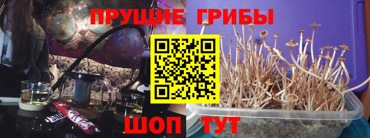 Галлюциногенные грибы прущие грибы Камышин