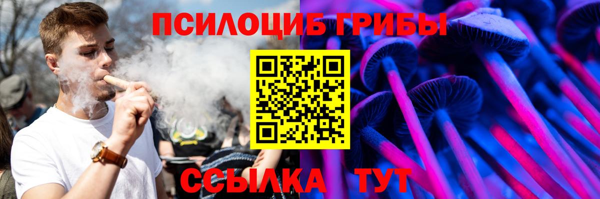 Псилоцибиновые грибы MAGIC MUSHROOMS  Вход с VPN  Камышин  Псилоцибиновые грибы прущие грибы 
