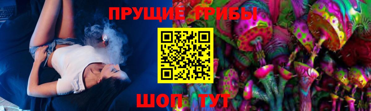 Псилоцибиновые грибы прущие грибы Камышин